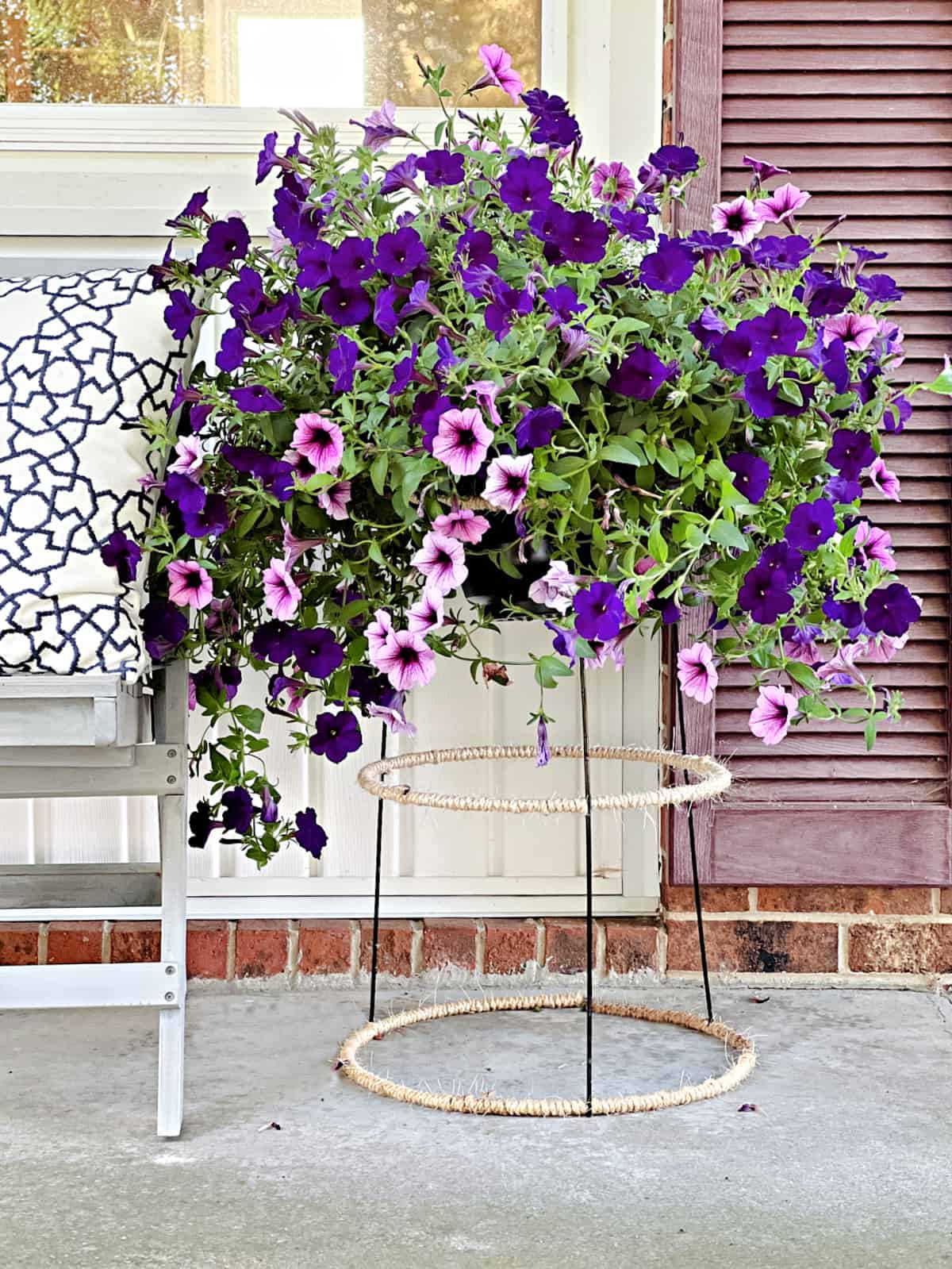 purple flowers planted in plant stand on front porch