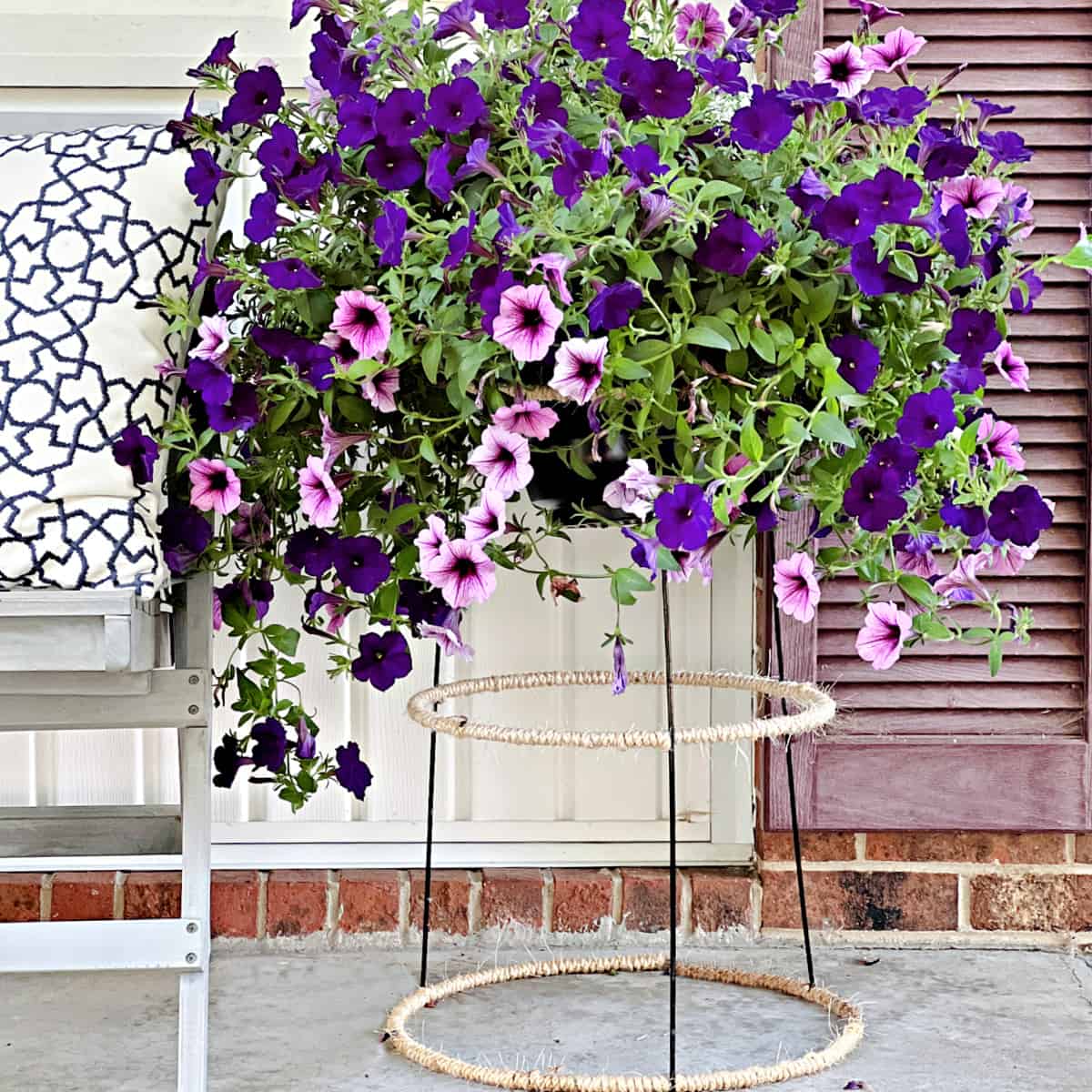 purple flowers planted in plant stand on front porch