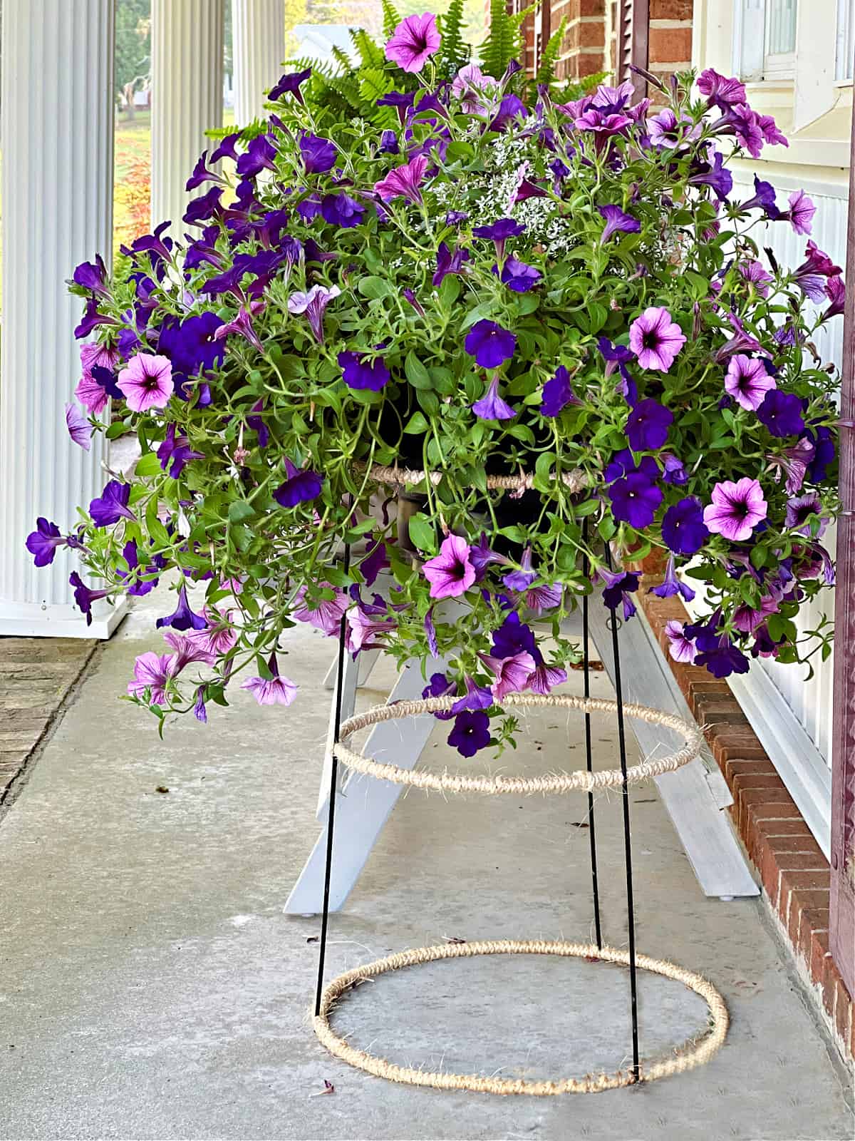 full pot of purple flowers in DIY plant stand