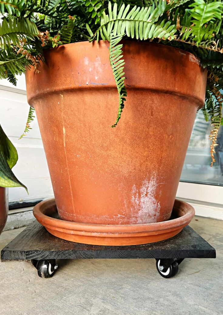 flower pot on DIY rolling plant stand