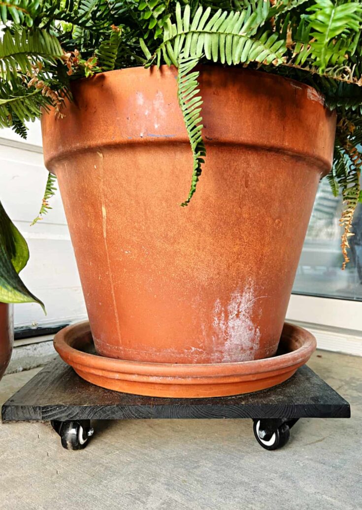 Rolling plant stand deals