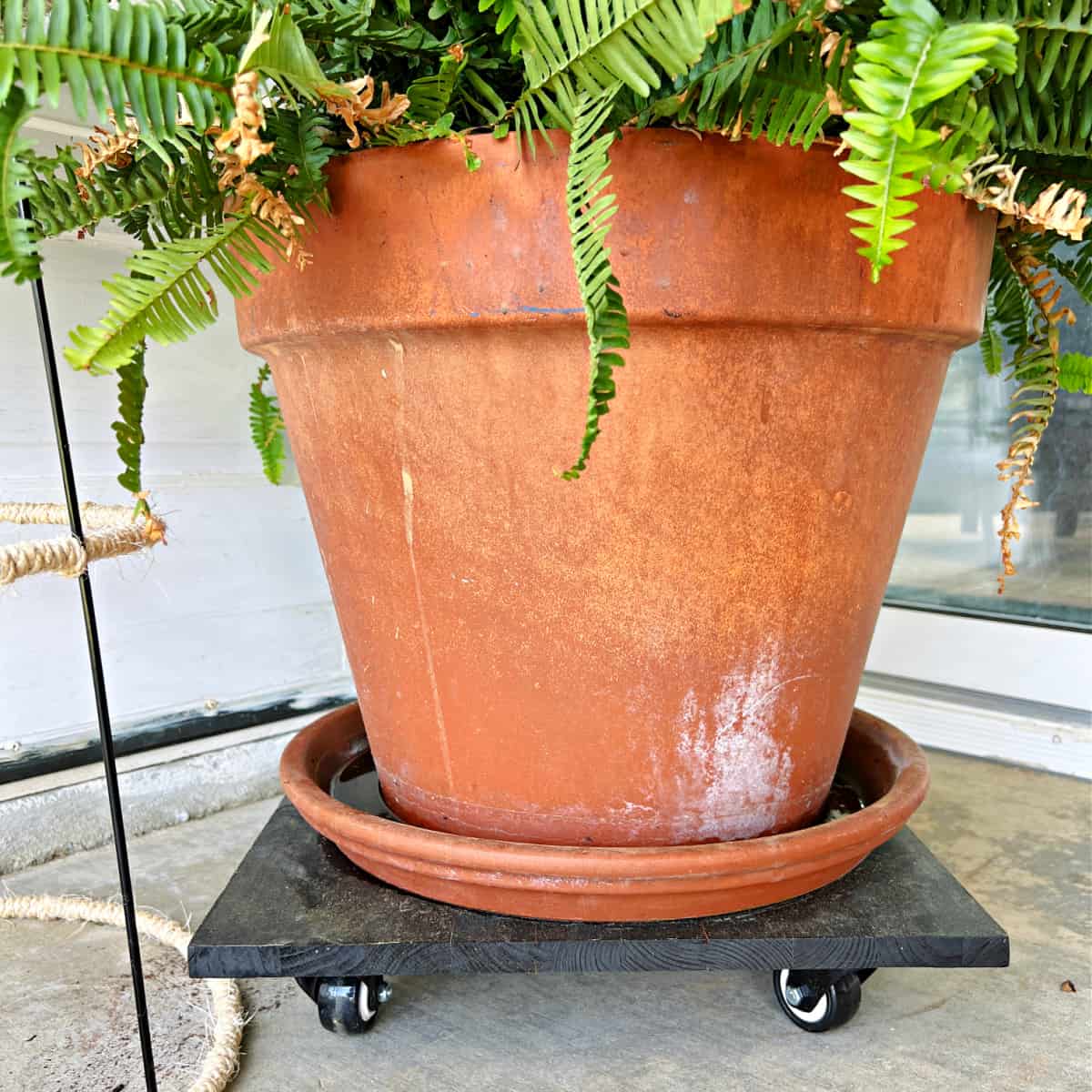 The Easiest DIY Rolling Plant Stand