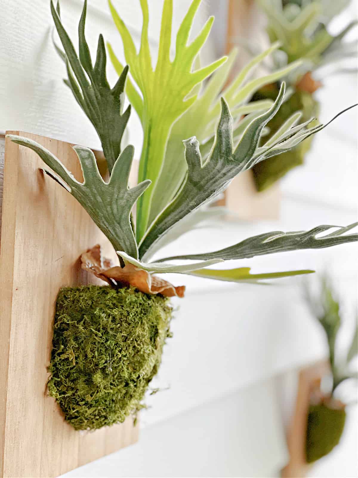 side view of plant hanging on vinyl siding