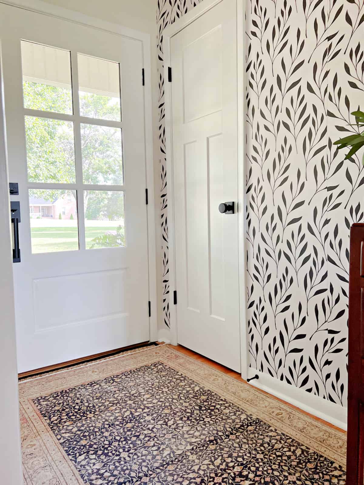 front door and closet door in small entryway