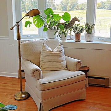 potted plants in bay window