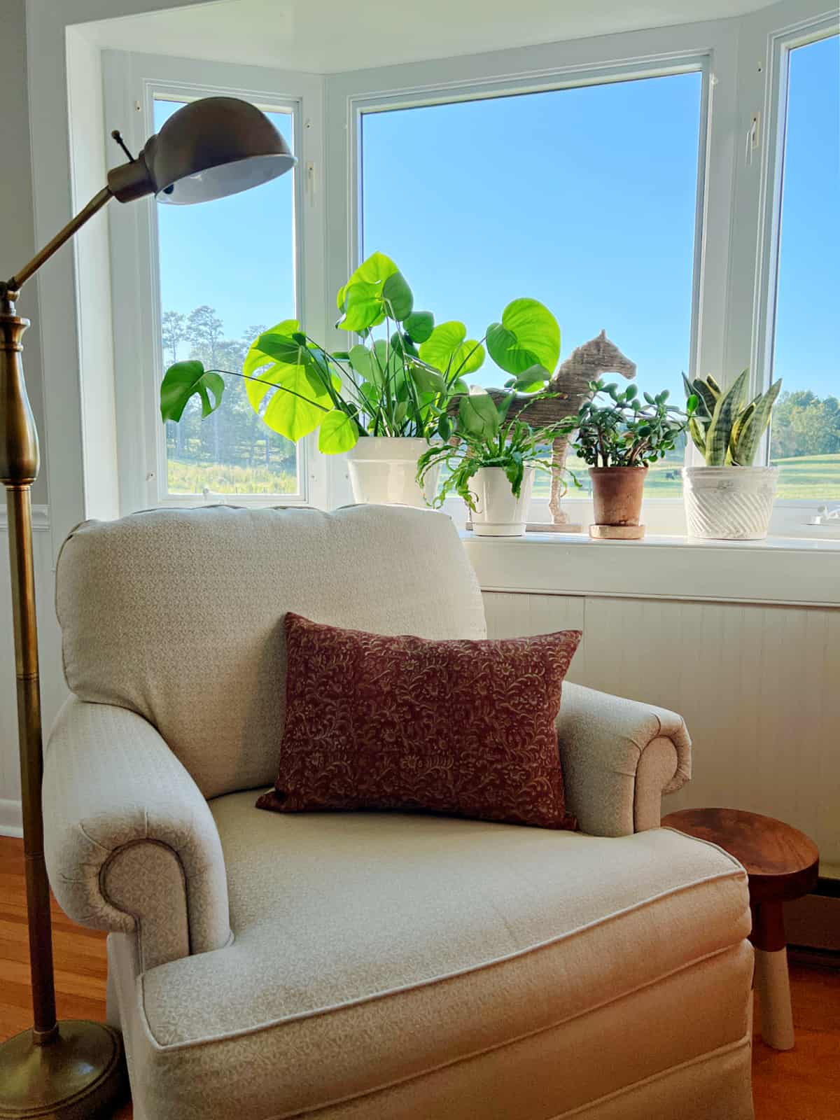 potted plants on bay window