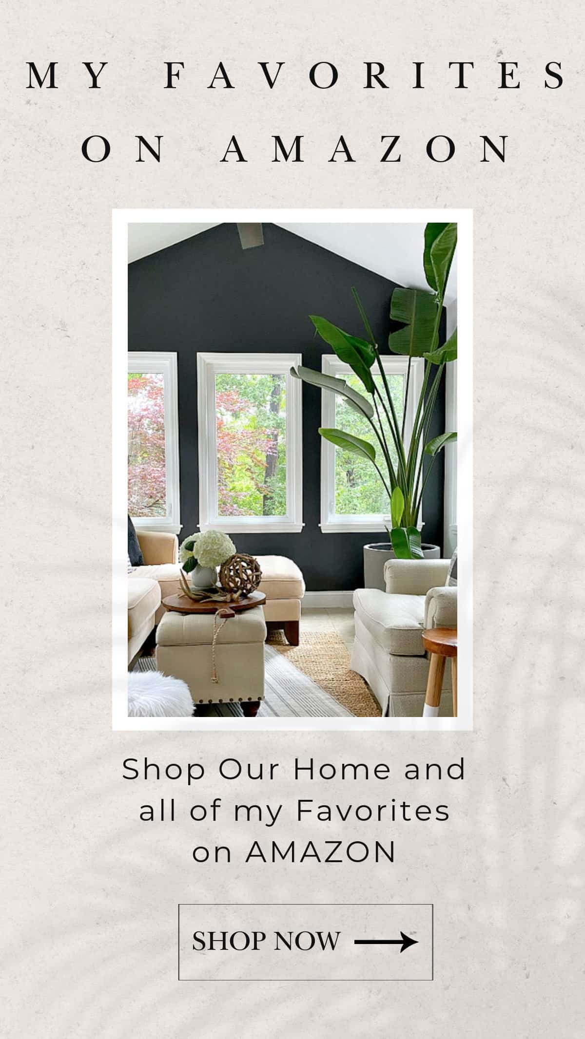 graphic for Amazon and image of small sunroom
