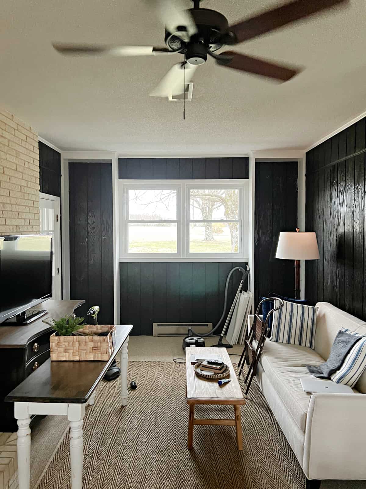Small Narrow Living Room Ideas With Tv small-narrow-living-room-ideas-with-tv