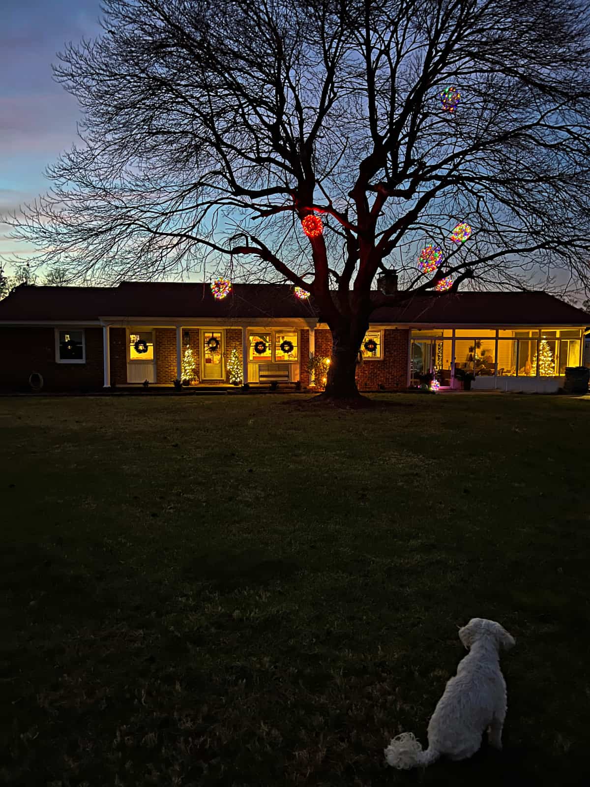 outside of house decorated with lights for Christmas