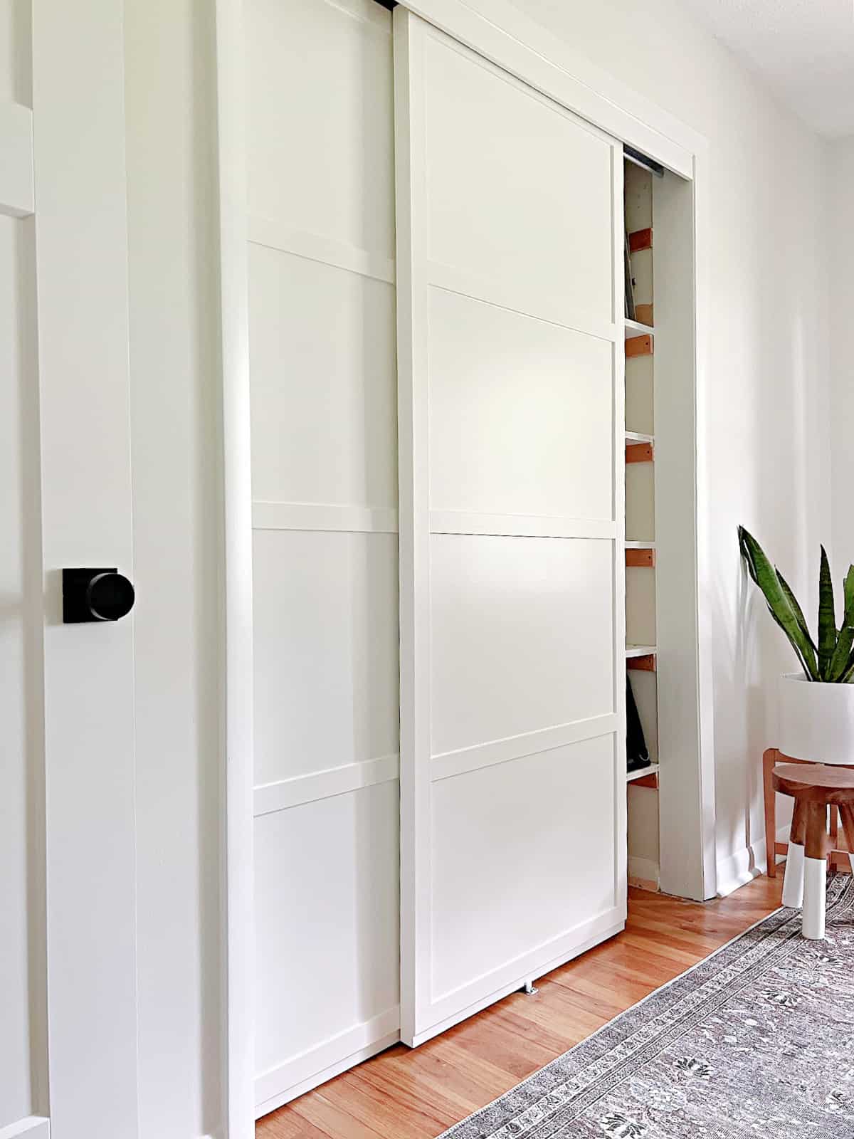 Closet Organizer with Sliding Aluminum Doors and Painted Glass