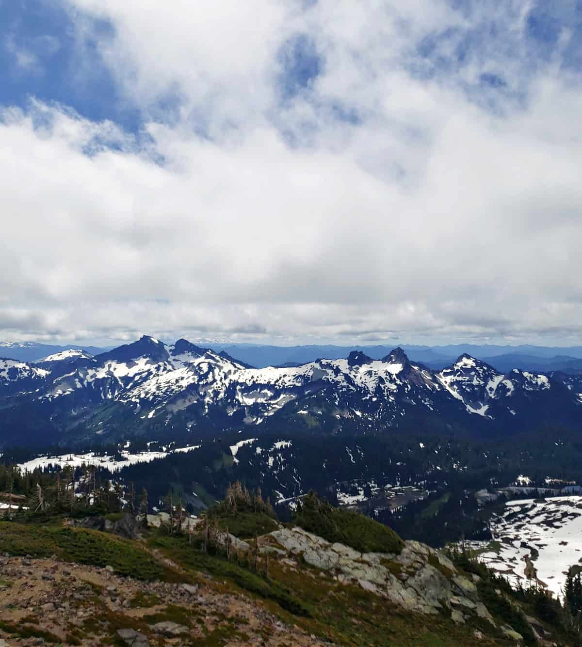 views from panorama point trail mount rainier
