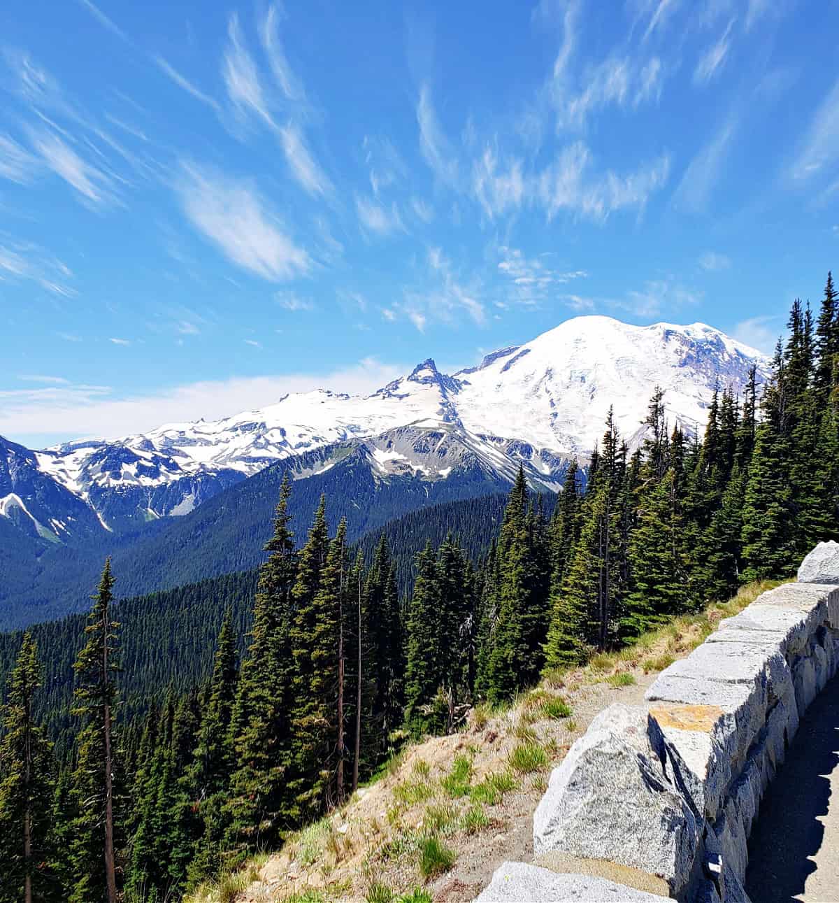 views of mount rainier