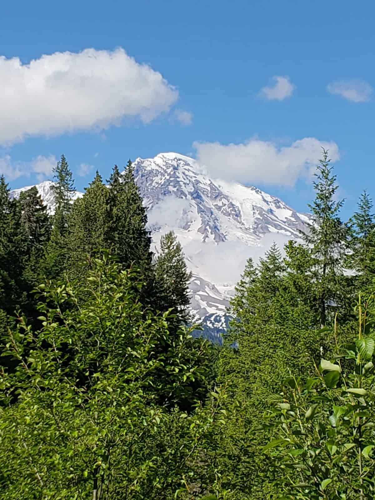 view of mount rainier