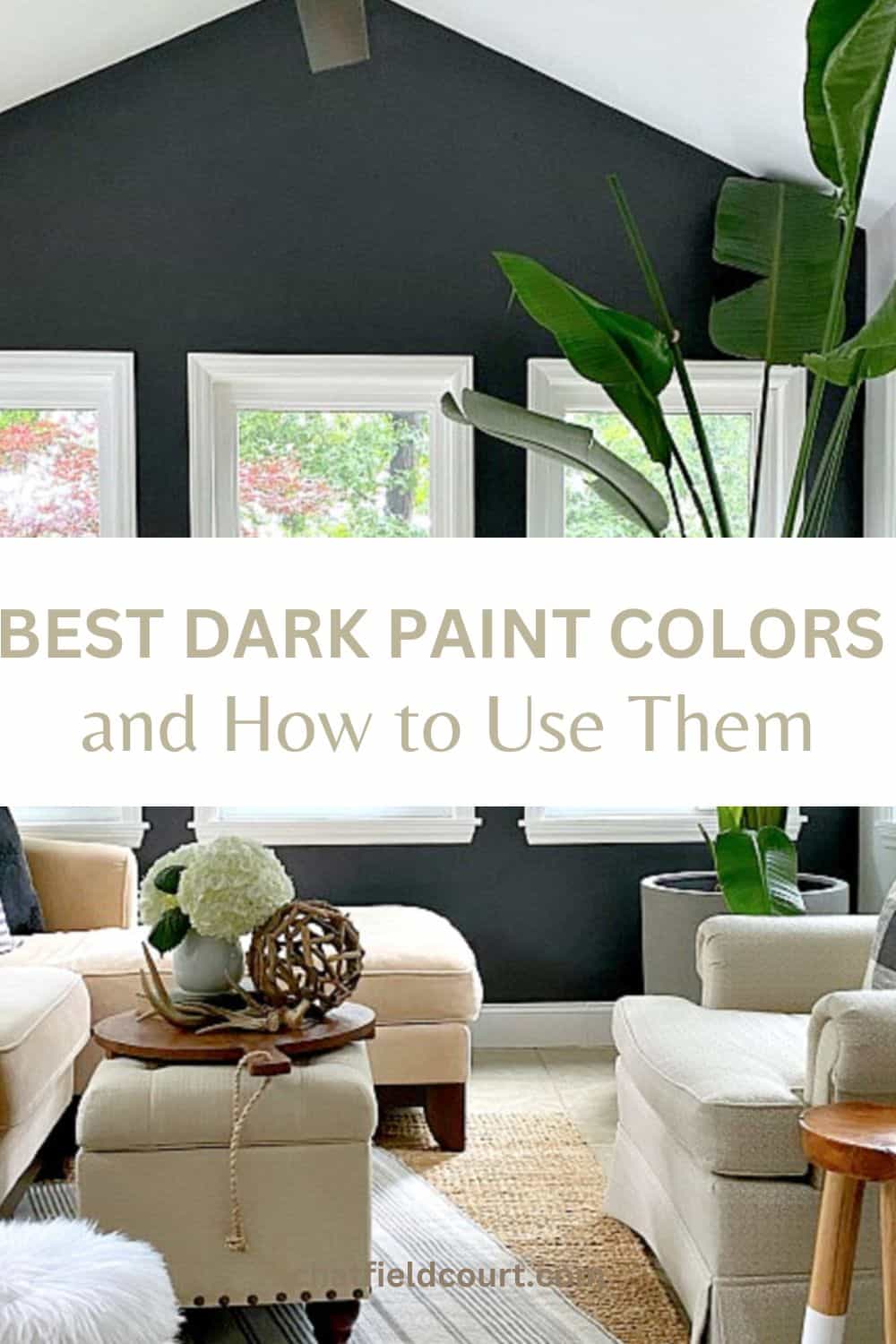 dark paint color on one wall in a small sunroom