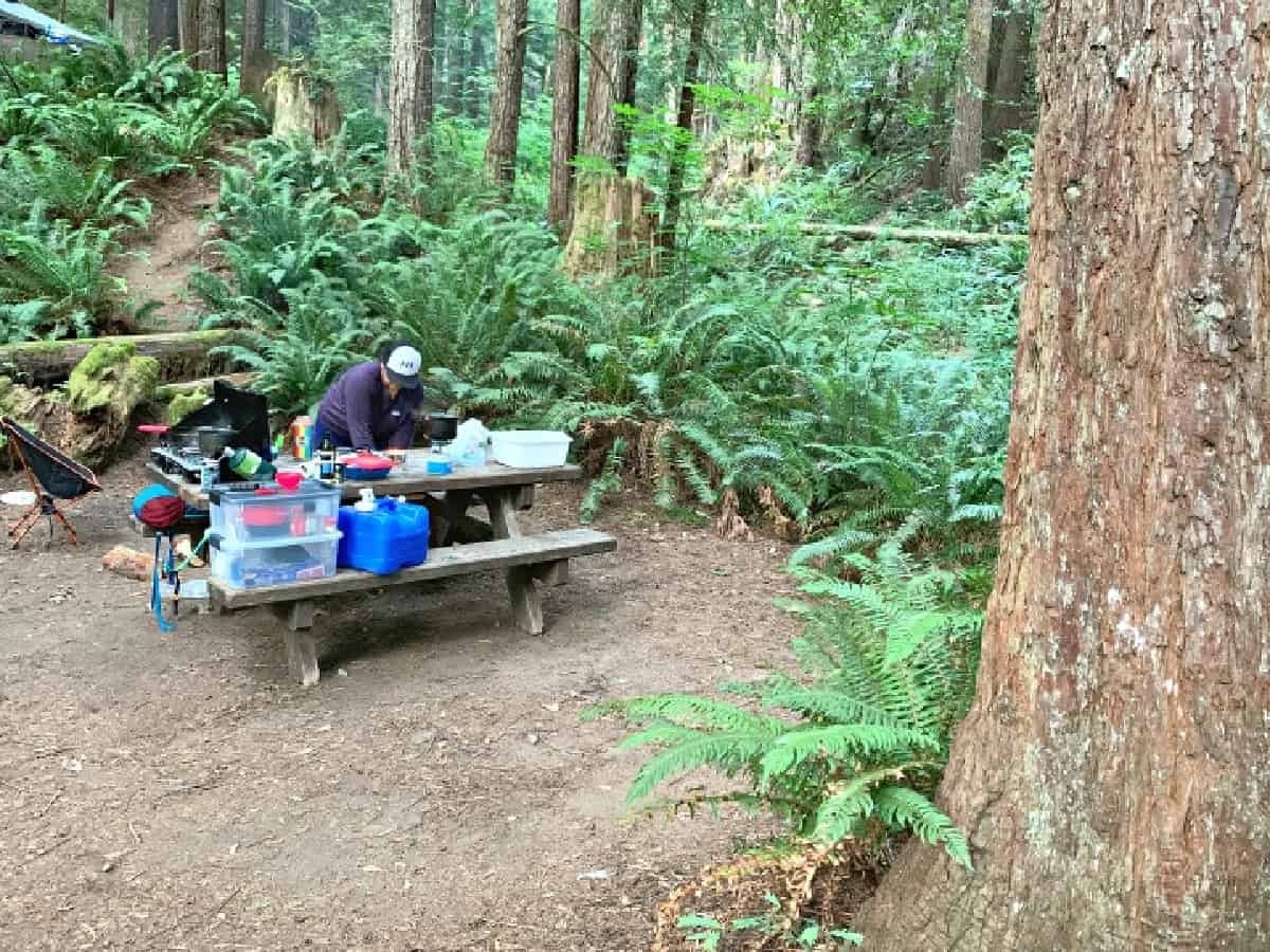 Mill Creek Campground Review - Redwoods State Park shot person sitting at table at campsite at Mill Creek Campground in California