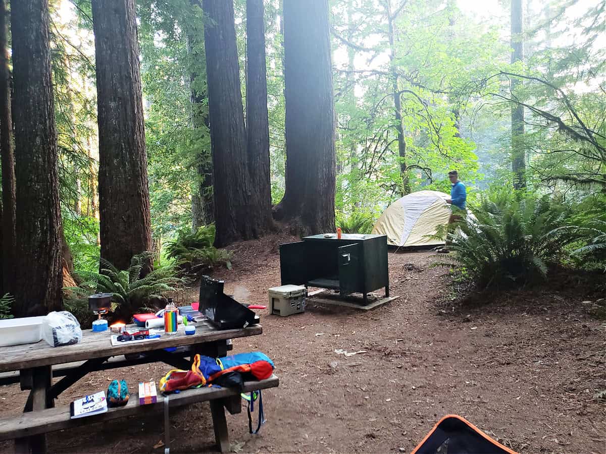 Mill Creek Campground Review - Redwoods State Park pix view of tent campsite at Mill Creek Campground in California