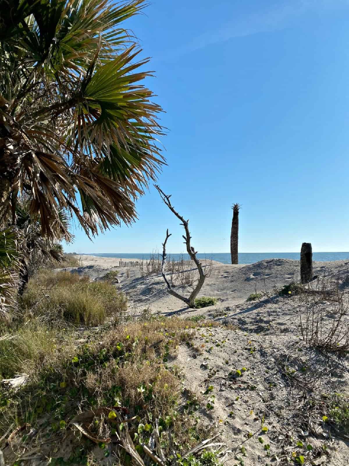 looking out onto sandy dunes and the ocean