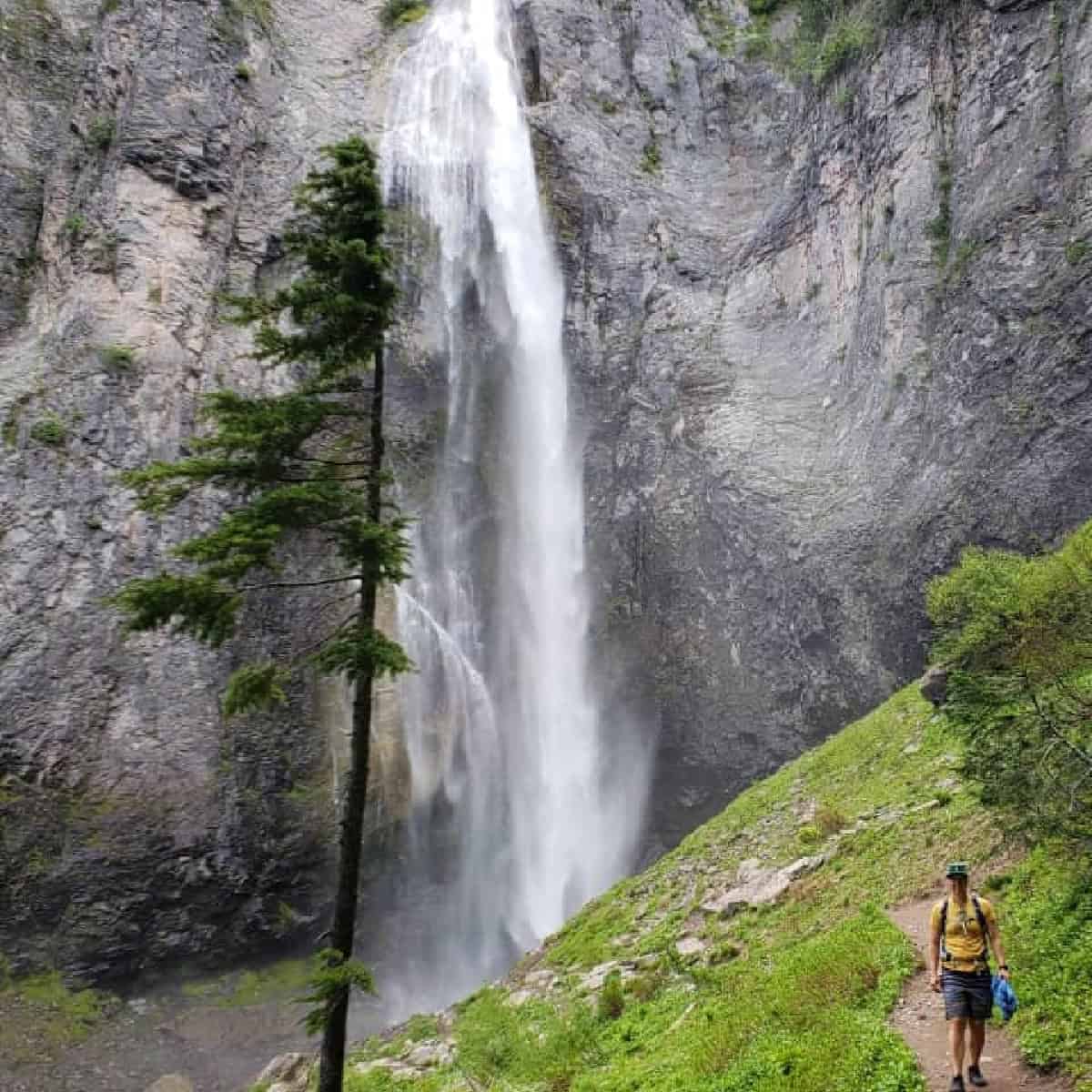 Things to Do When Visiting Mount Rainier National Park