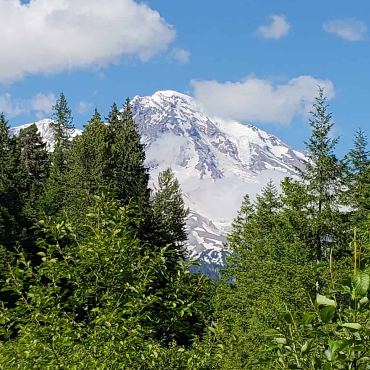 Mount Rainier National Park – Ohanapecosh Campground Review