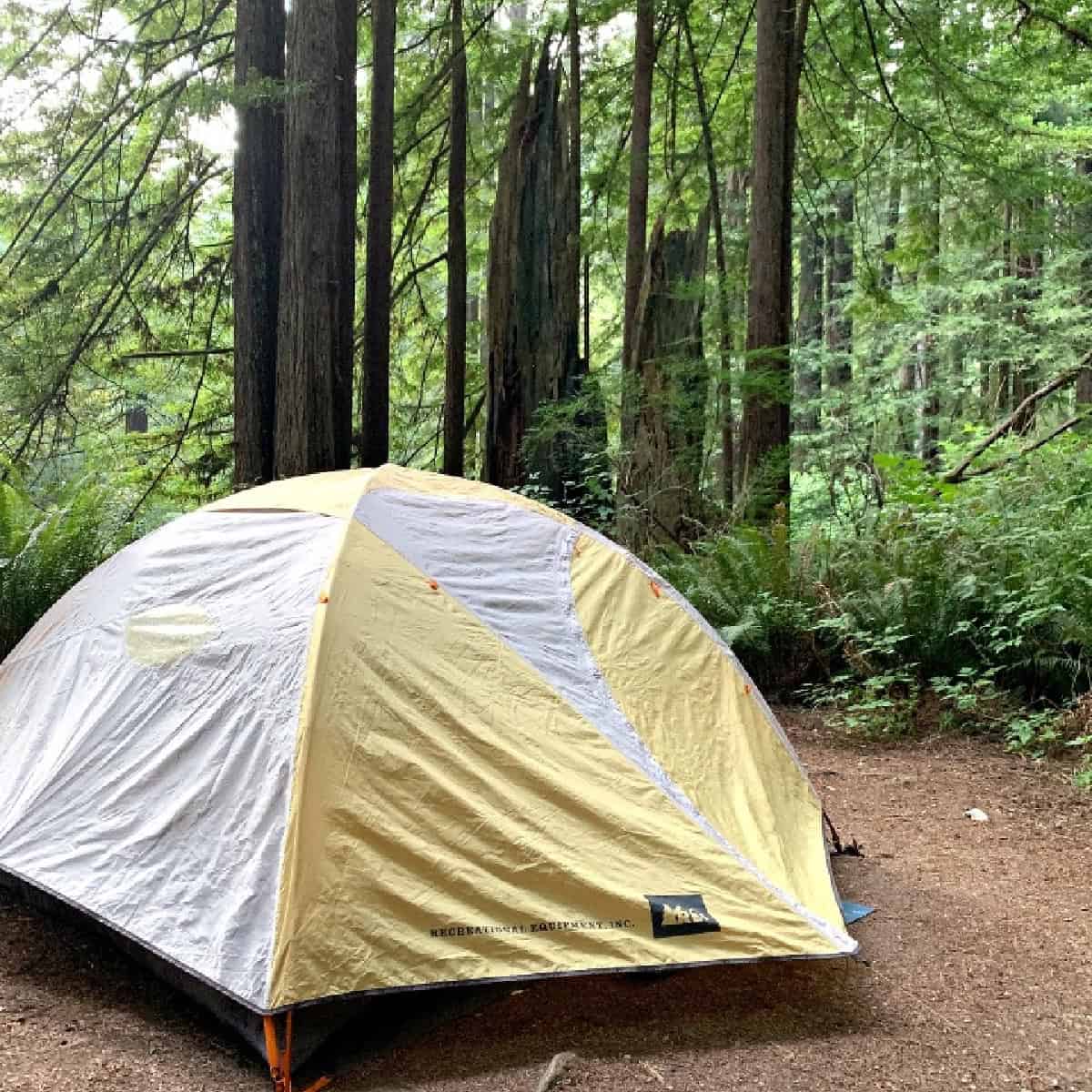 tent on campsite