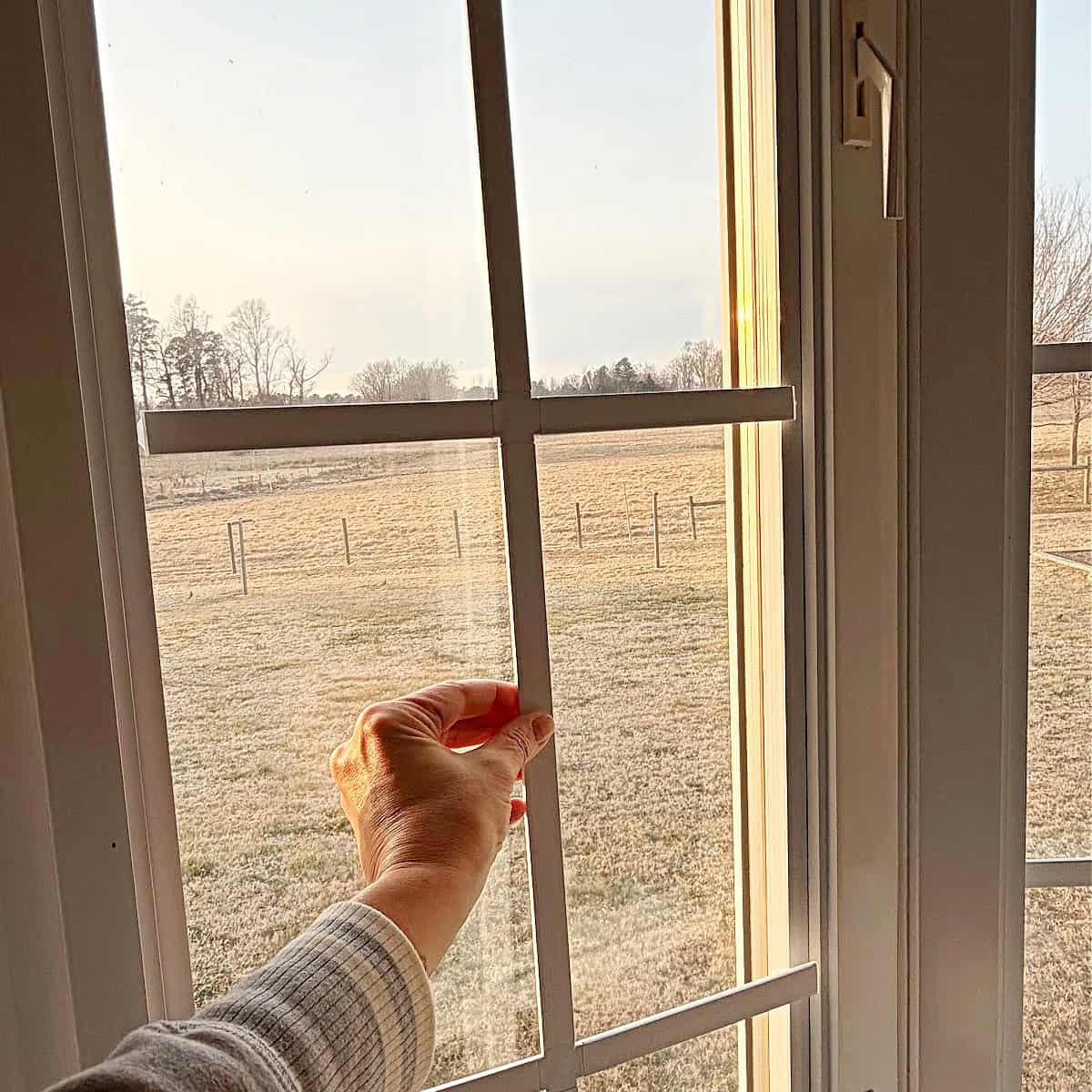 adding a PVC willow muntin to a window